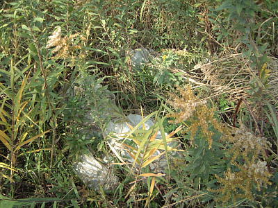 草むらの中の建築廃材