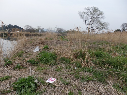河川敷の様子