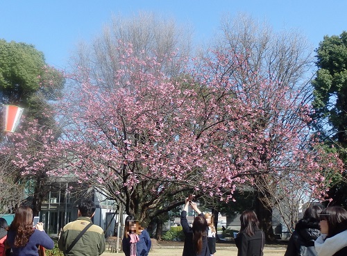 180322-27.jpg