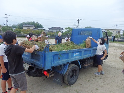除草作業。トラックへの積み込みの様子