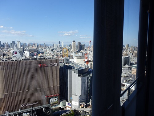 ホテルからの展望