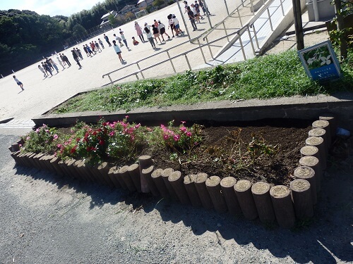 小さな花壇草抜き後