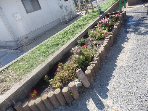 植え替え後
