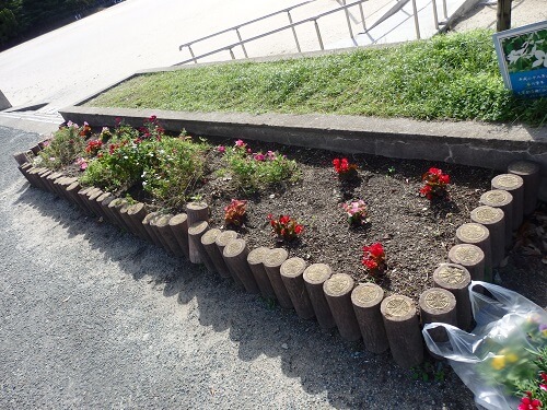 中間西小学校小さな花壇植え替え前