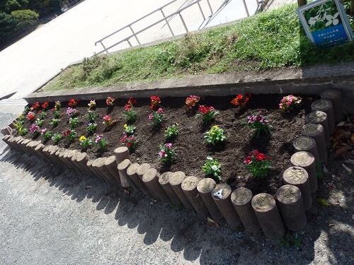 植え替えた小さな花壇