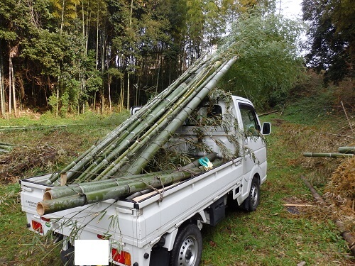 伐採した竹を軽トラに積み込み