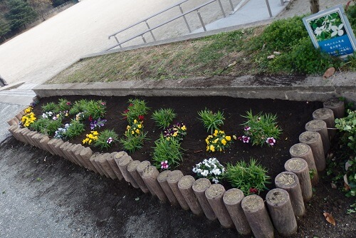 綺麗になった小さな花壇
