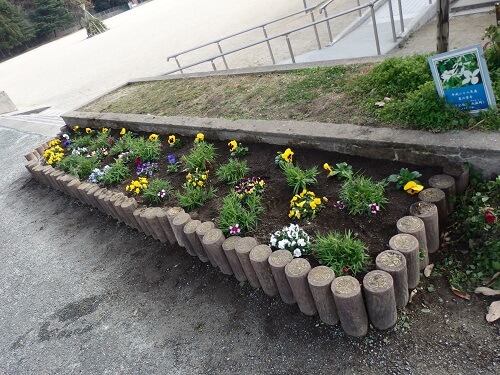 花植え後