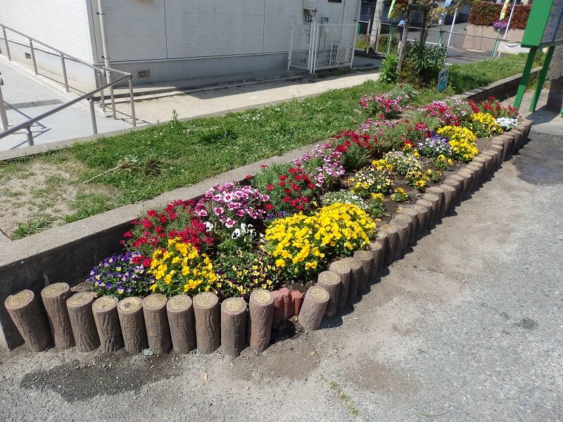5月4日の小さな花壇の様子