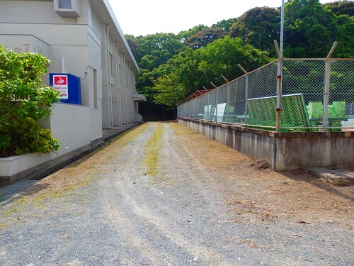 プールと体育館の間草刈除草後