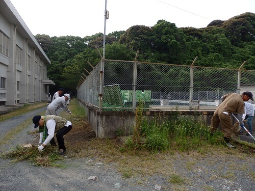 プールと体育館の間草刈中