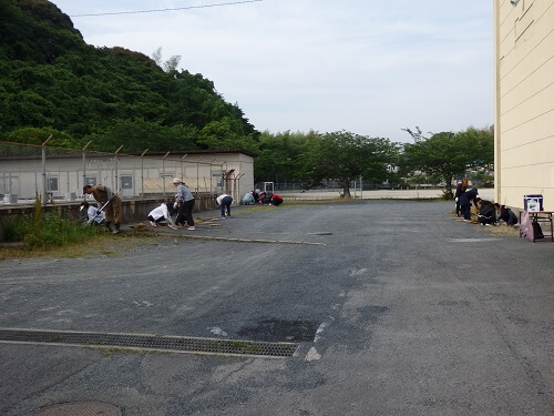 プールと校舎の間も除草します