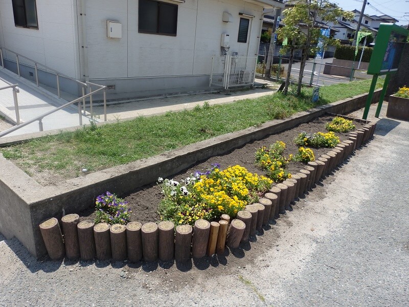 ナデシコを取り除き、パンジーとビオラを残しておいた