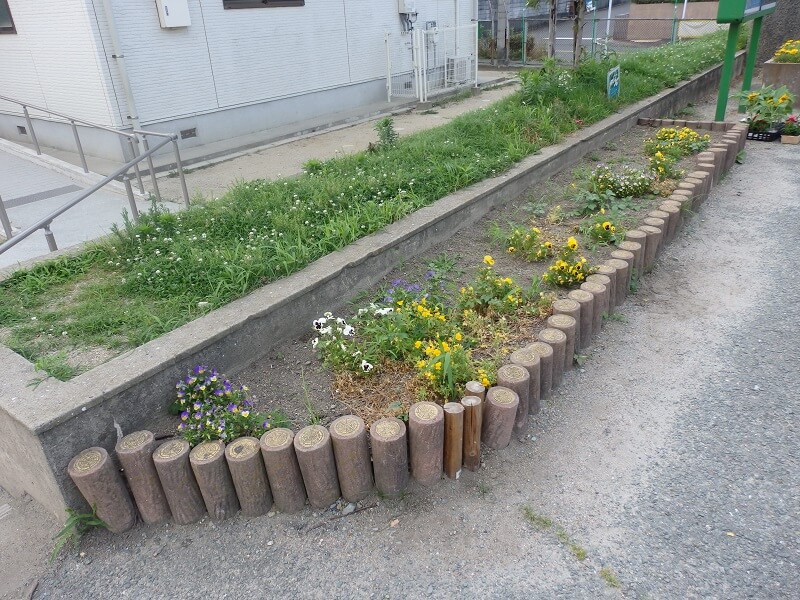 そのパンジーとビオラも終わり・・・花が細々と咲き続くので、中々、植え替えができませんでした。