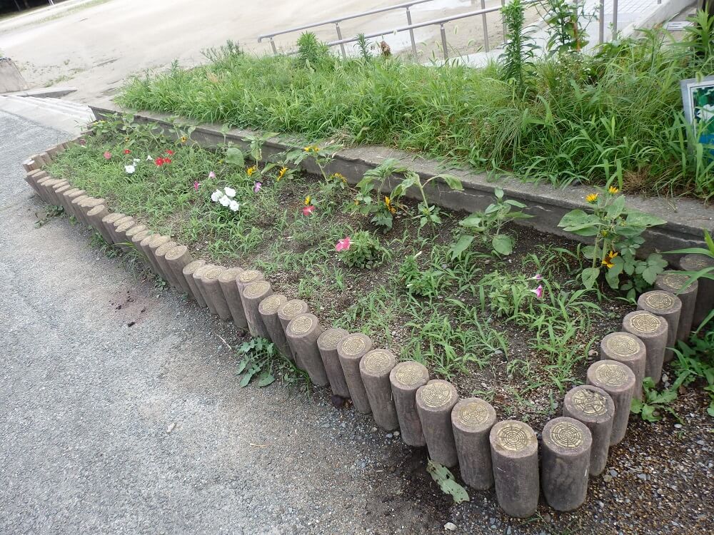 中間西小学校の小さな花壇7月28日