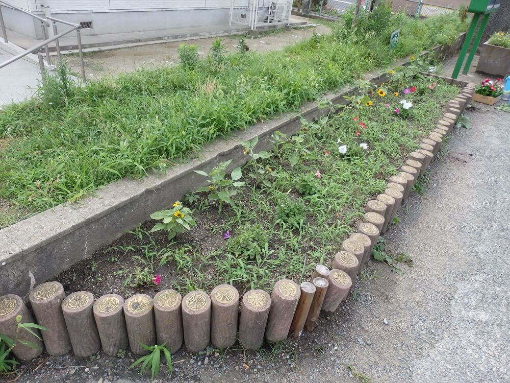 中間西小学校の小さな花壇7月28日