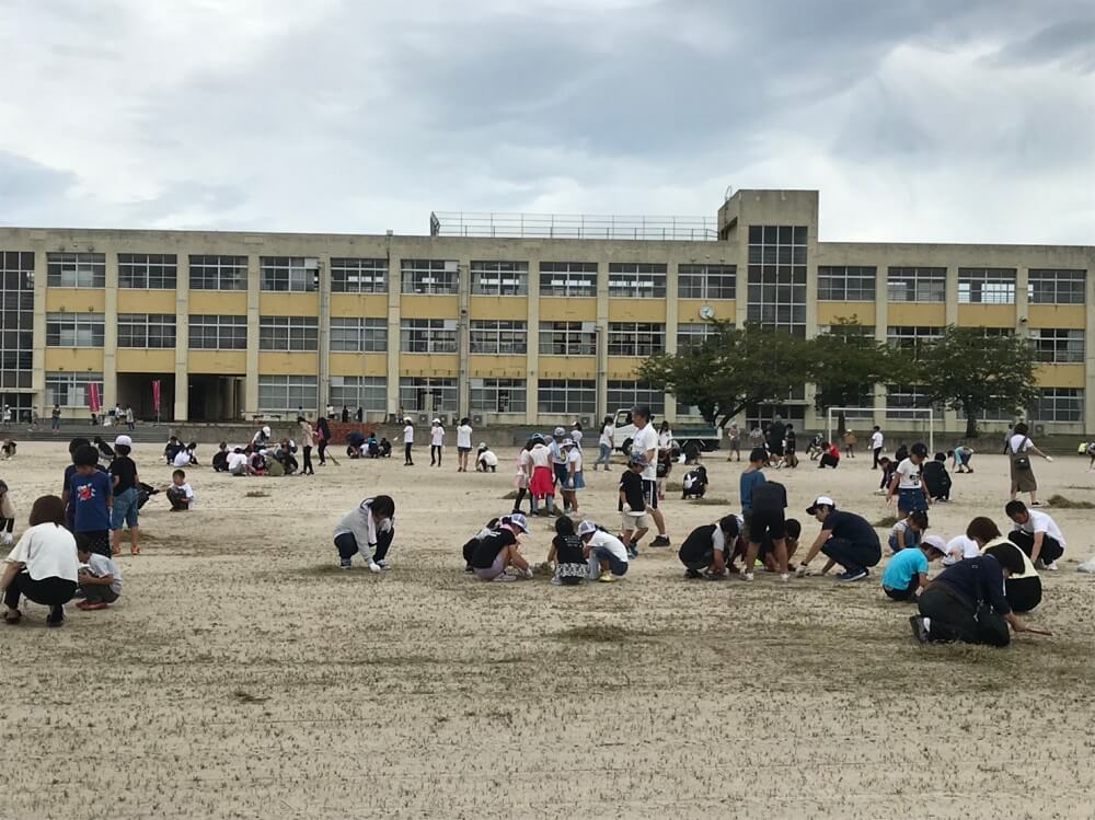 親子で除草画業をしている写真