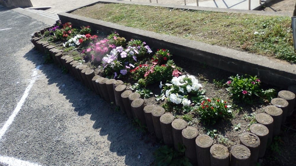 雑草が目立つ11月23日の小さな花壇の写真